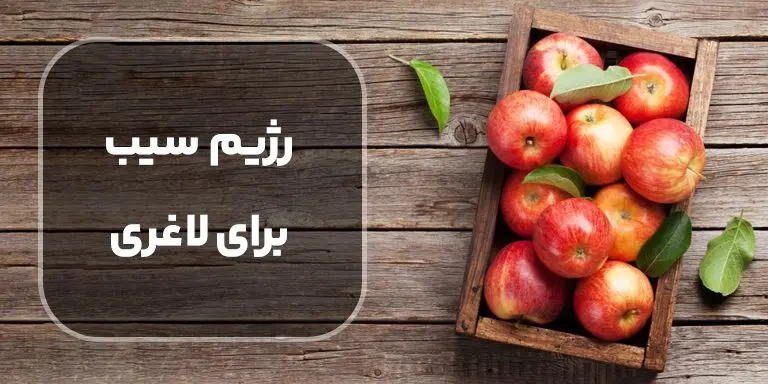 رژیم سیب نی نی سایت 